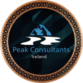 peakconsultants logo back ground removed